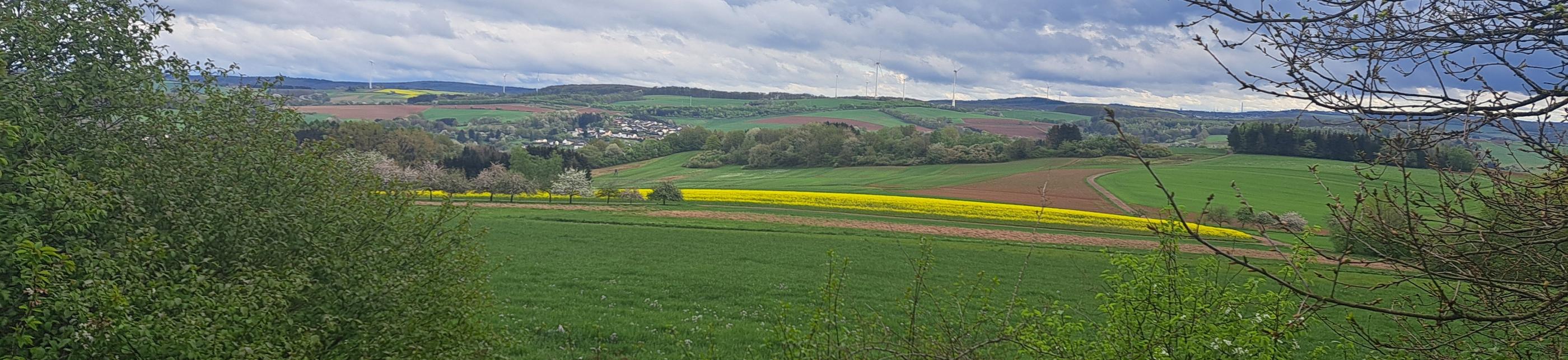 Pastoraler Raum Lebach