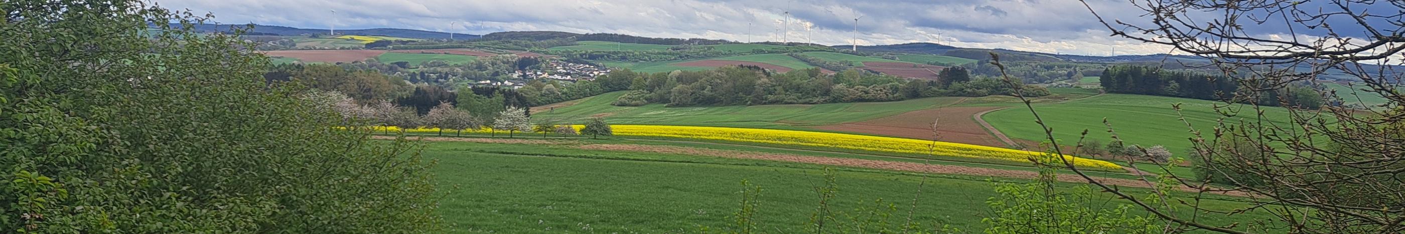 Pastoraler Raum Lebach