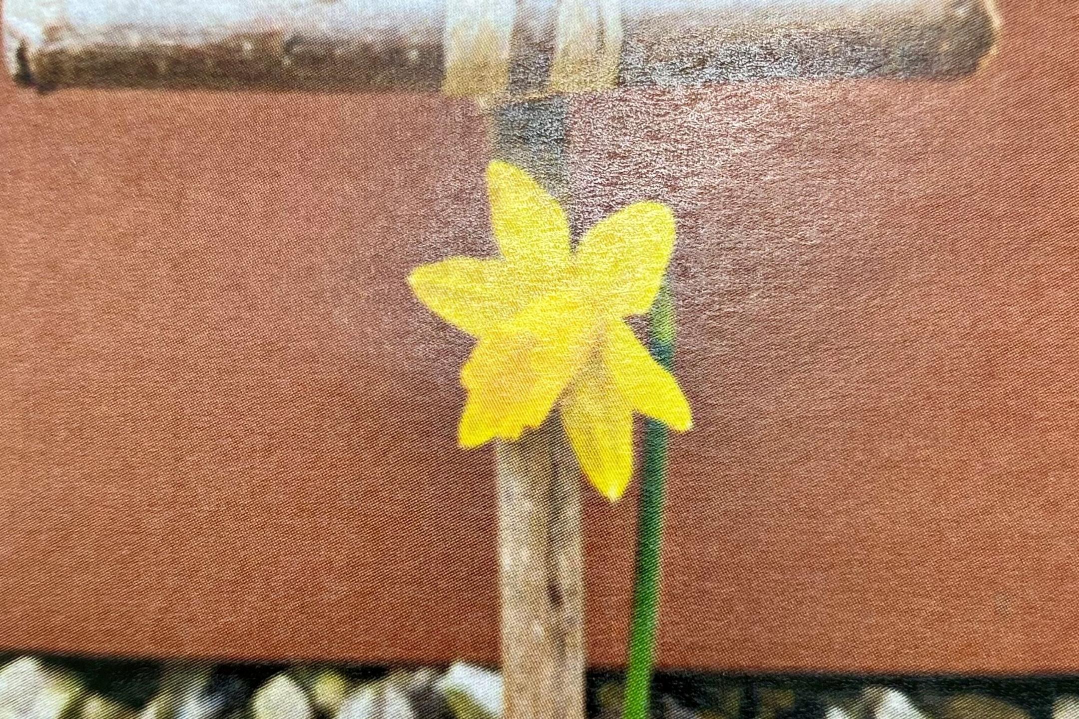 Kreuz Blume