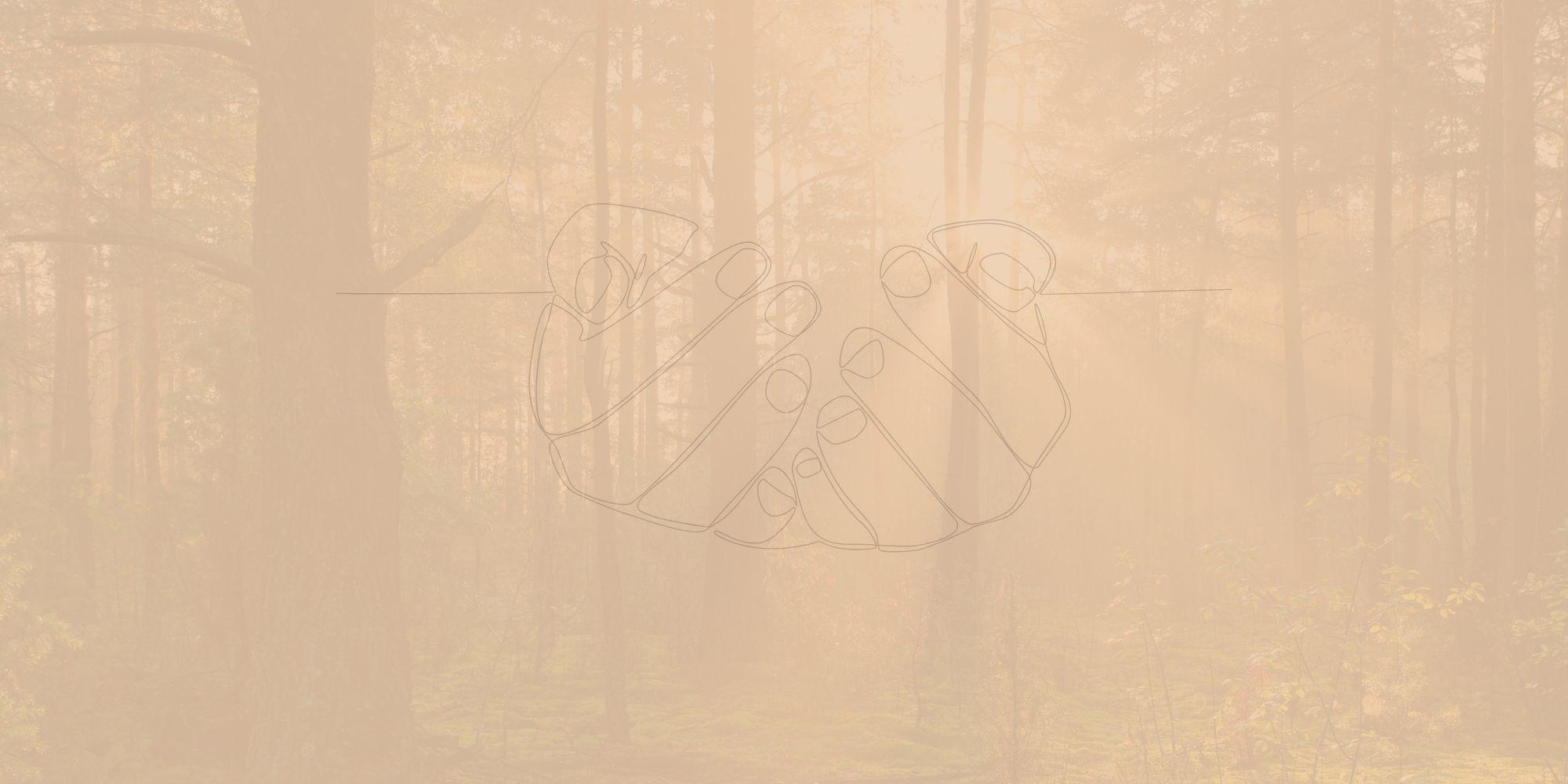 Das Bild zeigt einen Wald in warmem, goldenem Licht. Zwischen den Bäumen fällt weicher Sonnenschein auf einen moosigen Waldboden. In der Bildmitte schwebt eine feine Linienzeichnung zweier sich haltender Hände. Unten steht der Text: „Da sein.“ – daneben ein Kreuzsymbol – „Katholische Kirche, Pastoraler Raum Lebach“.