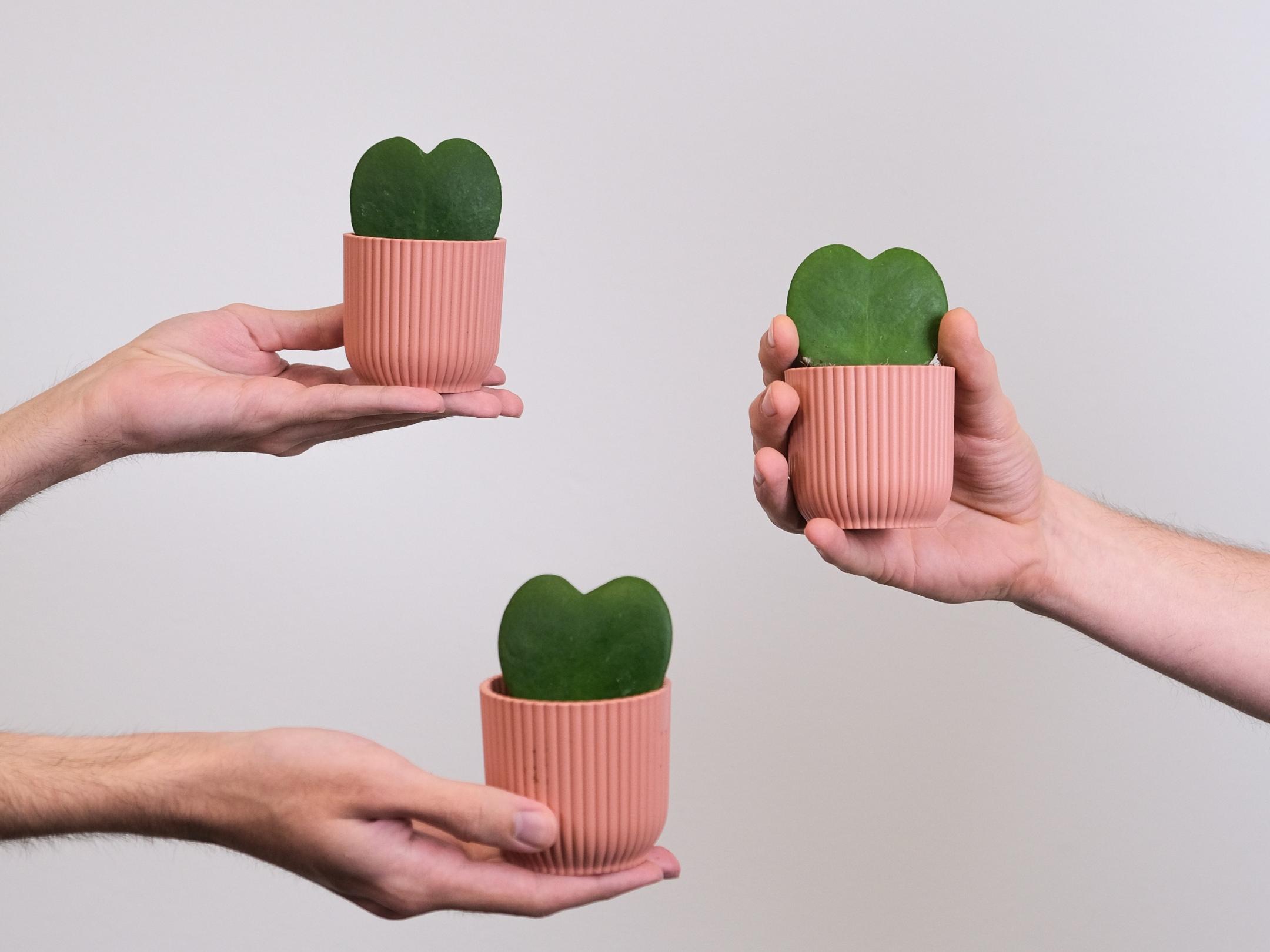 Drei Hände halten jeweils eine Tasse mit einem grünen Herz in das Bild