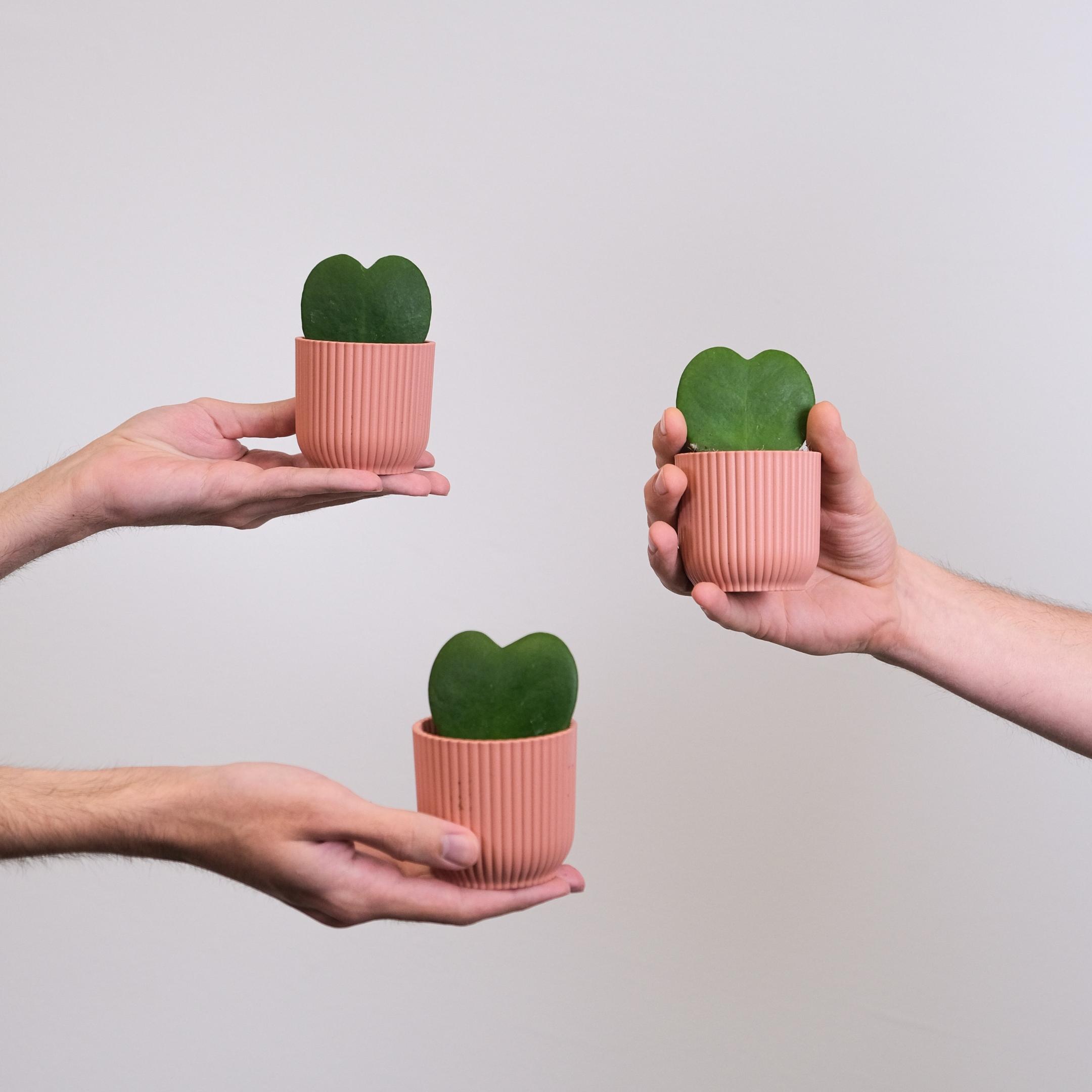 Drei Hände halten jeweils eine Tasse mit einem grünen Herz in das Bild
