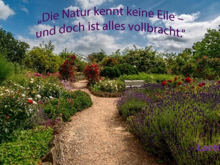 Weg durch einen Garten