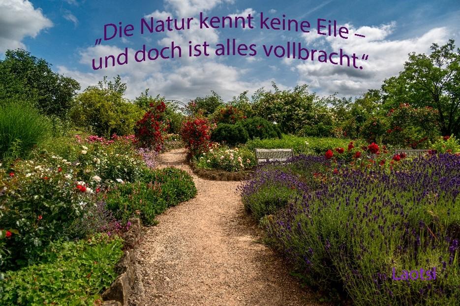 Weg durch einen Garten